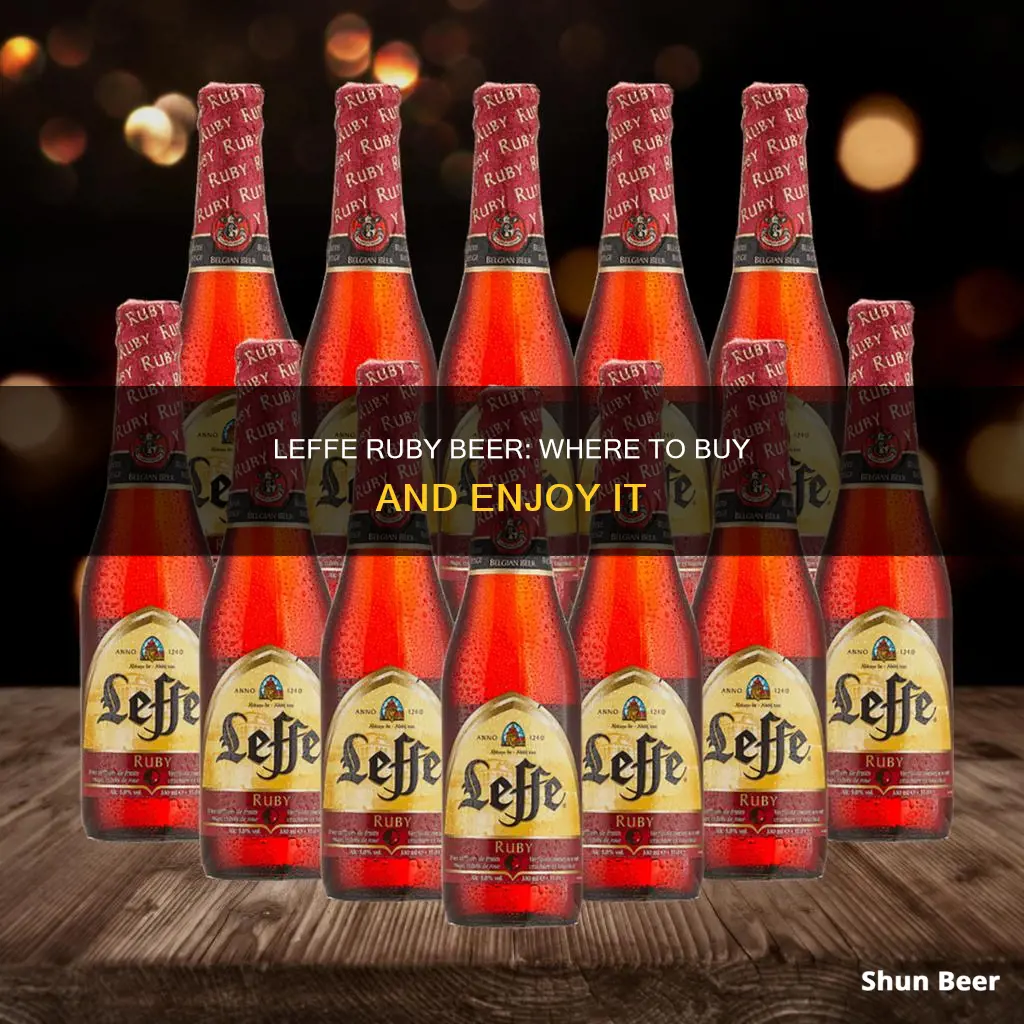 where can i buy leffe ruby beer