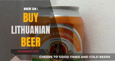 The Best Places to Buy Lithuanian Beer