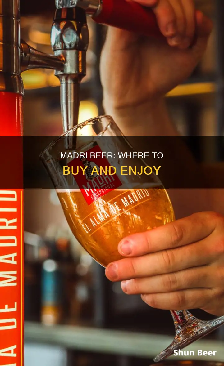 where can i buy madri beer