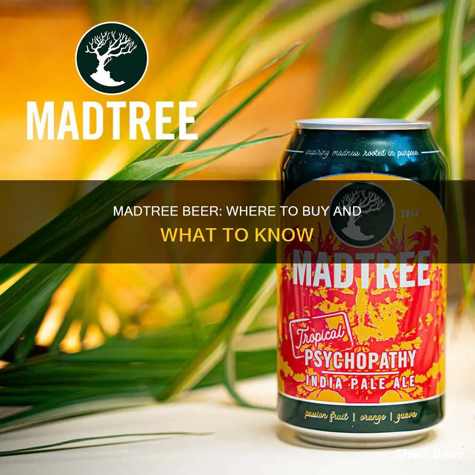 where can i buy madtree beer