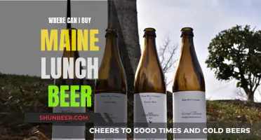 Maine's Best Lunch Spots: Beer, Food, and Fun!