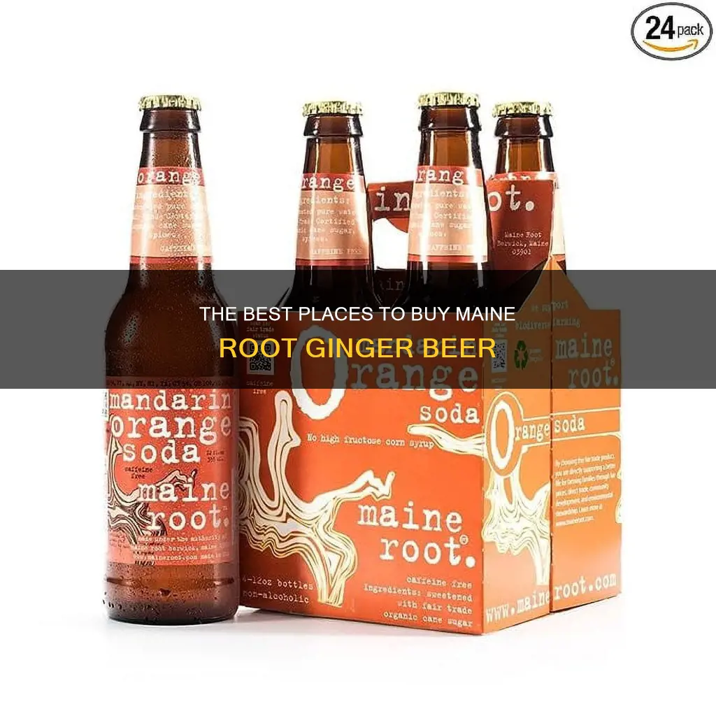 where can i buy maine root ginger beer