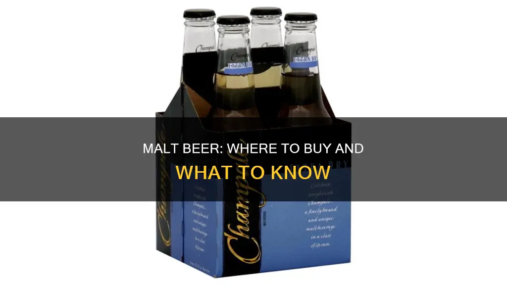 where can i buy malt beer