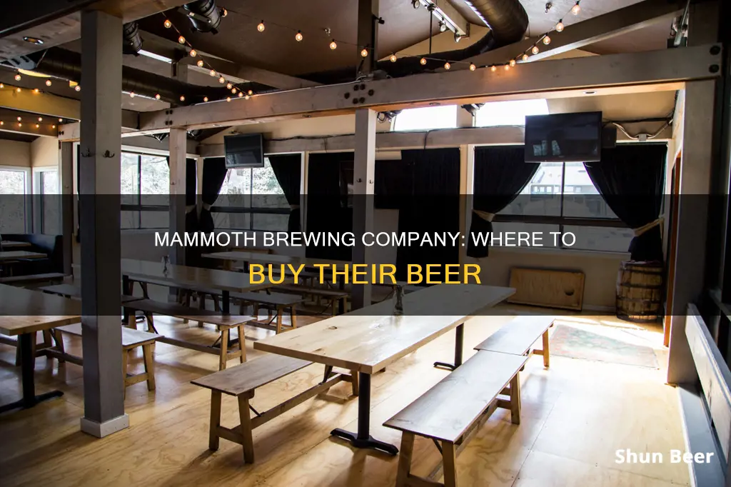 where can i buy mammoth brewing company beer