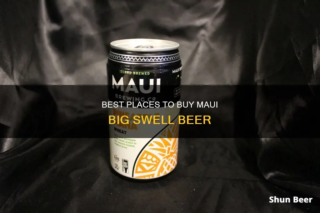 where can i buy maui big swell beer