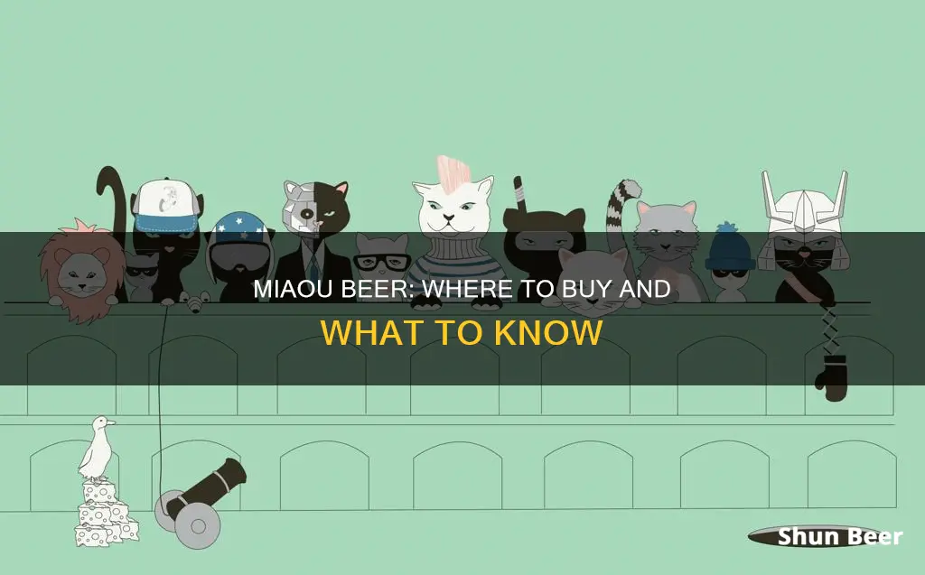 where can i buy miaou beer