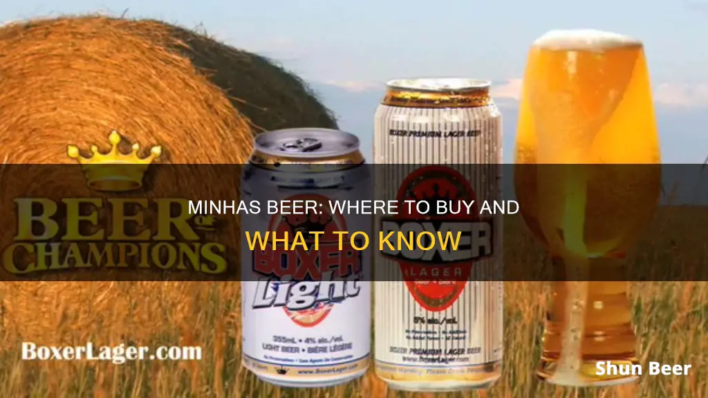 where can i buy minhas beer