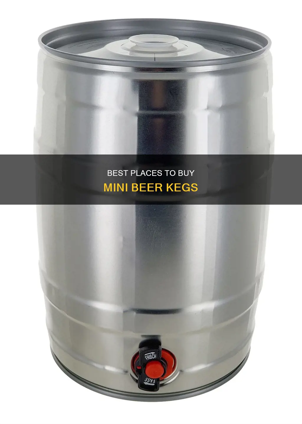 where can i buy mini beer kegs