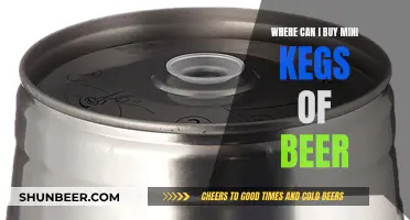 Best Places to Buy Mini Beer Kegs