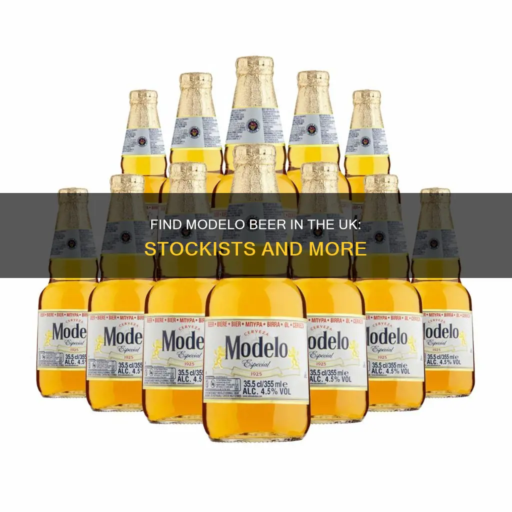 where can i buy modelo beer in the uk