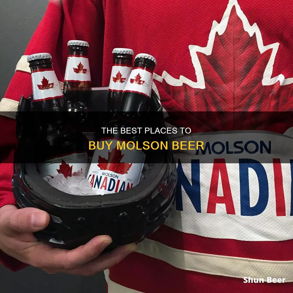 where can i buy molson beer