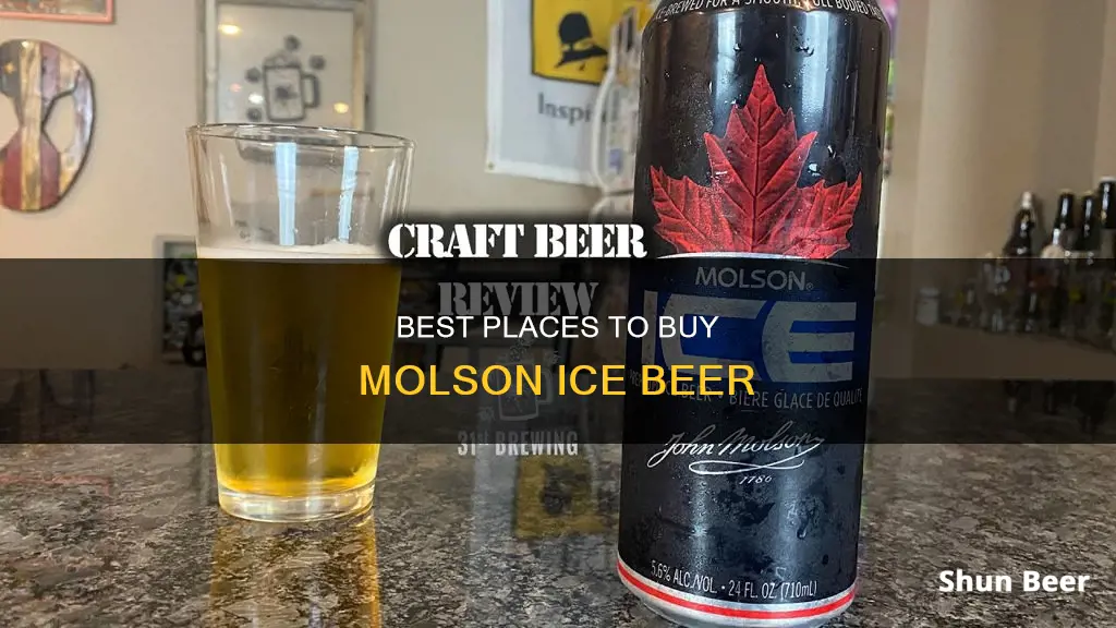 where can i buy molson ice beer