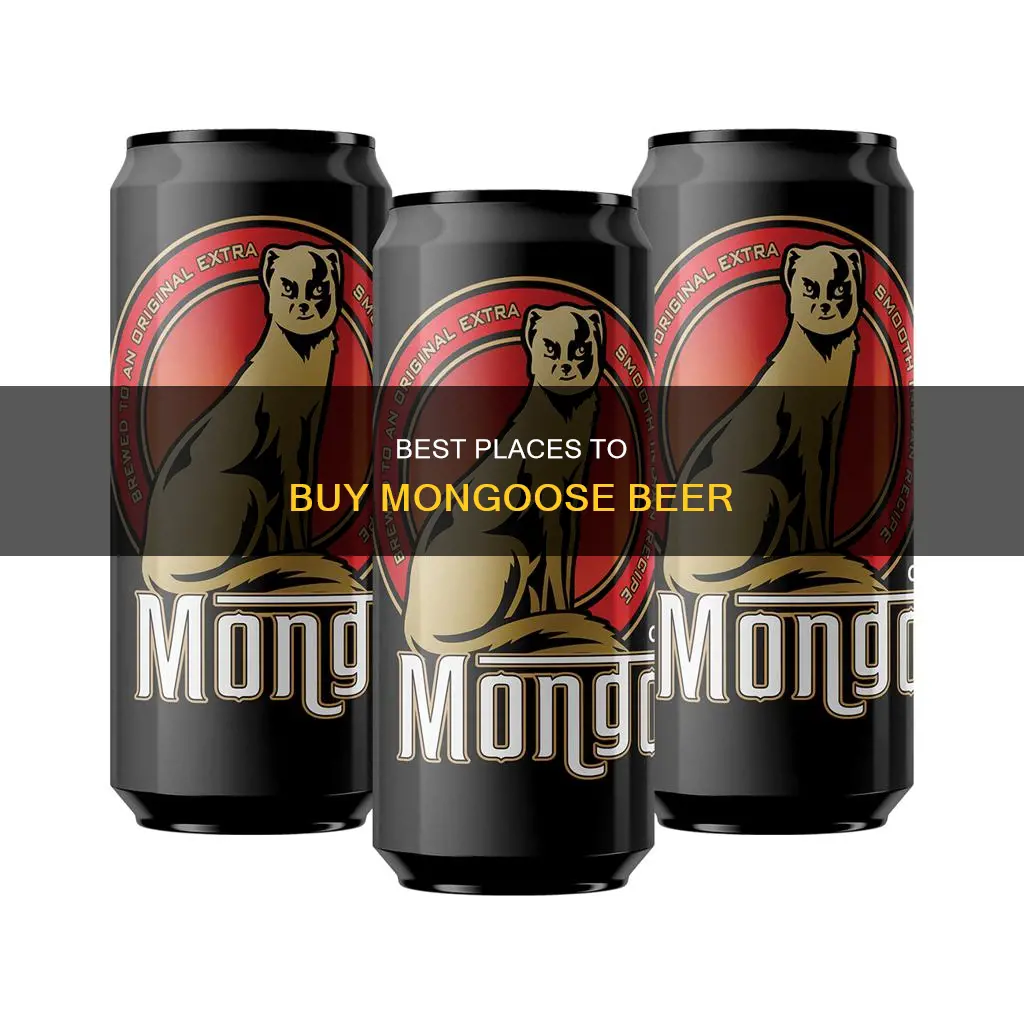 where can i buy mongoose beer