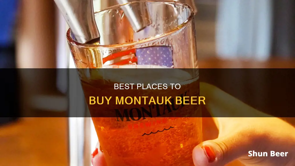 where can i buy montauk beer