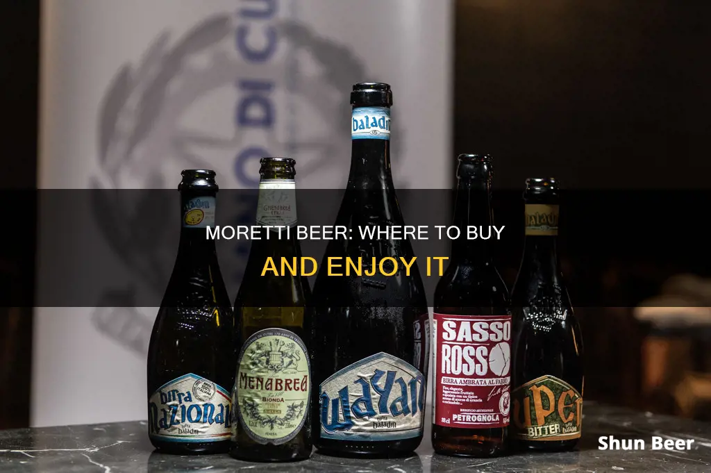 where can i buy moretti beer