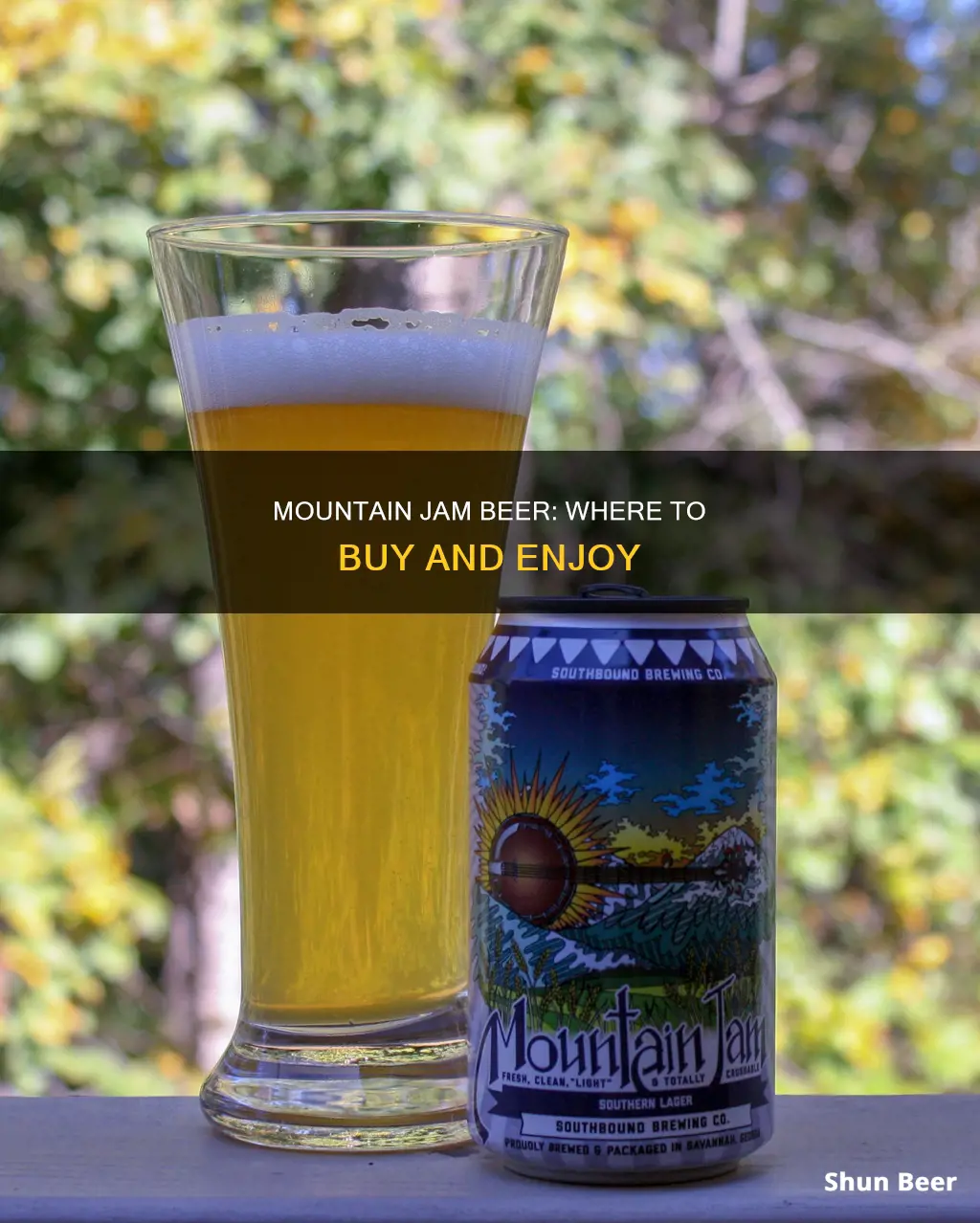 where can i buy mountain jam beer