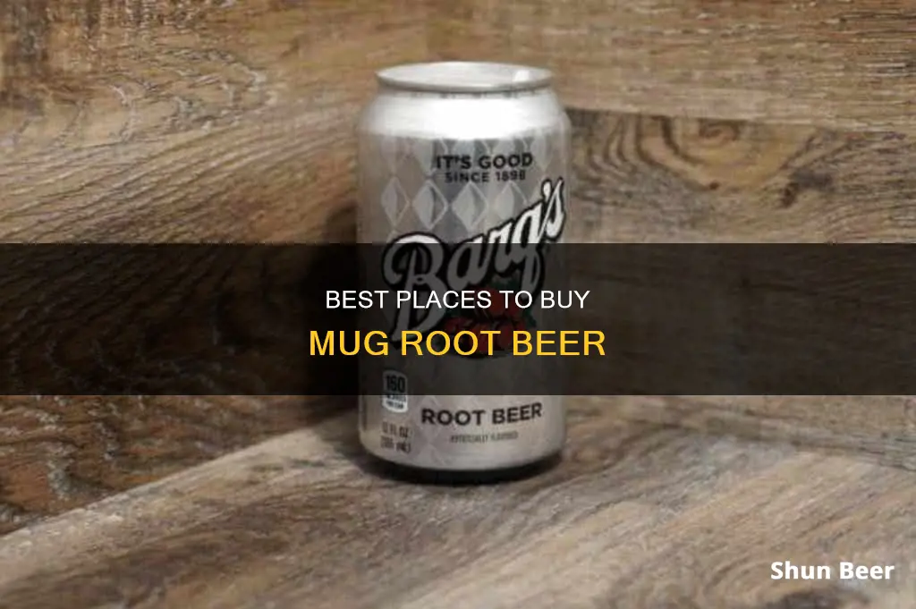 where can i buy mug root beer