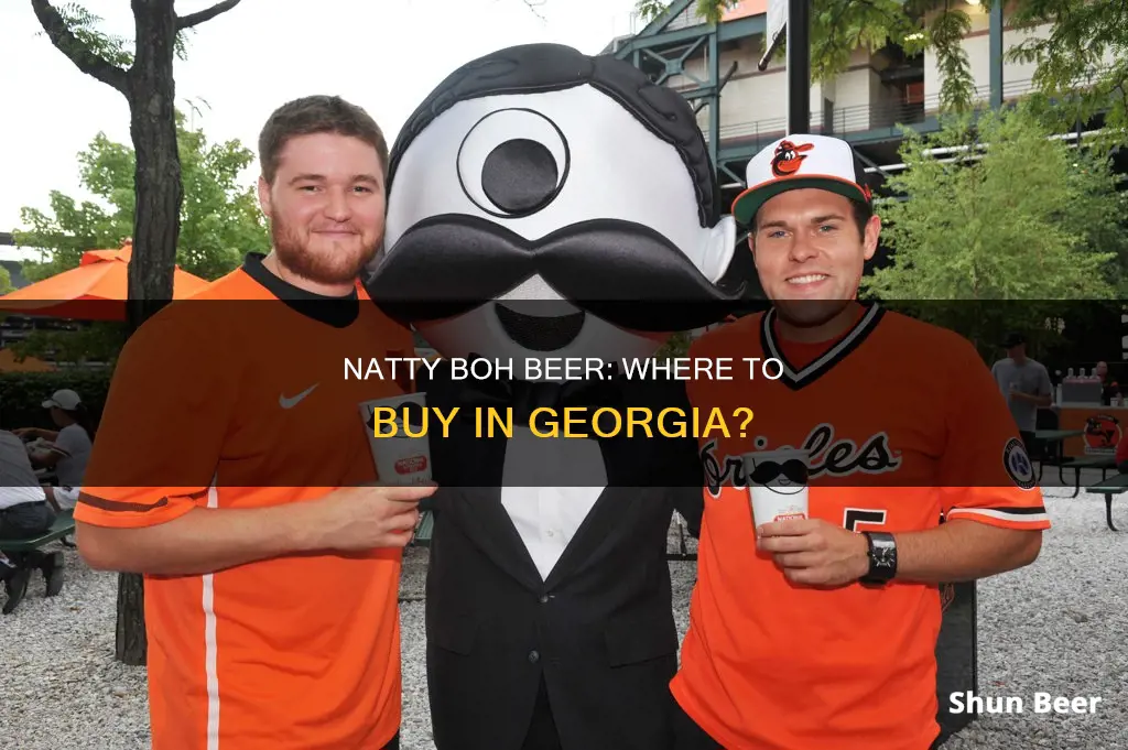 where can i buy natty boh beer in georgia