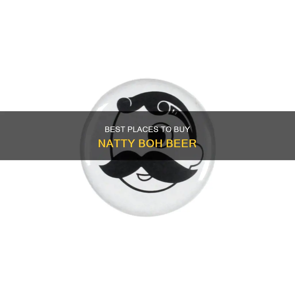 where can i buy natty boh beer