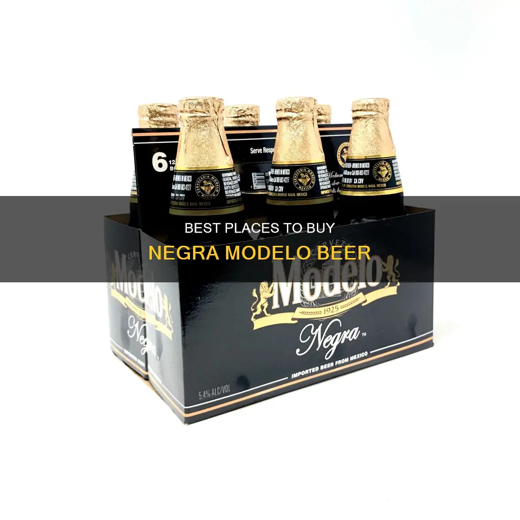 where can i buy negra modelo beer