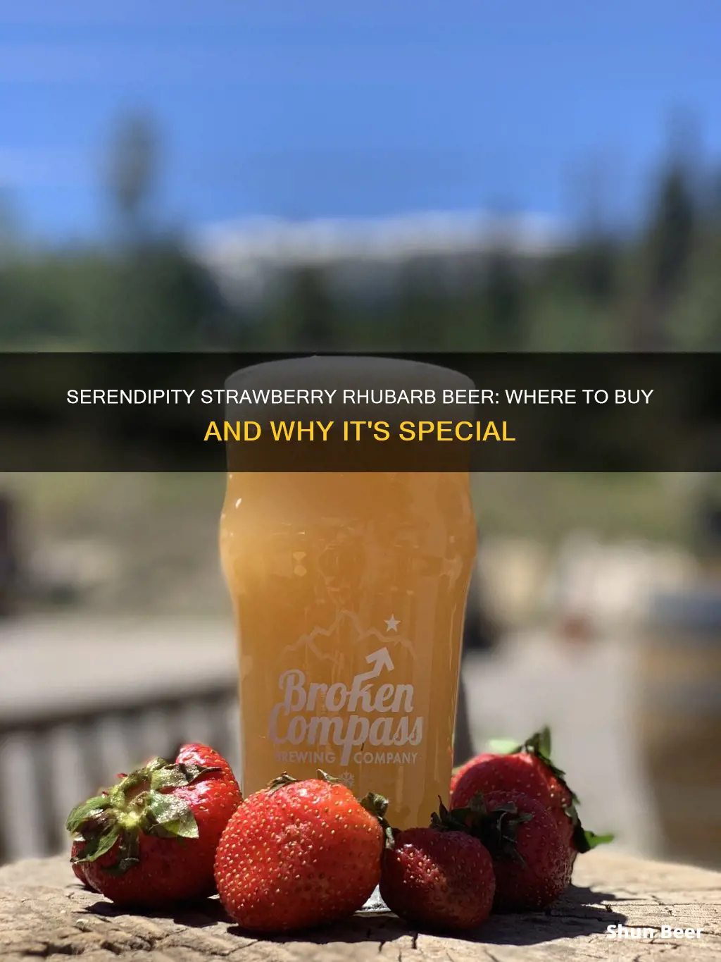 where can i buy new glarus serendipity strawberry rhubarb beer