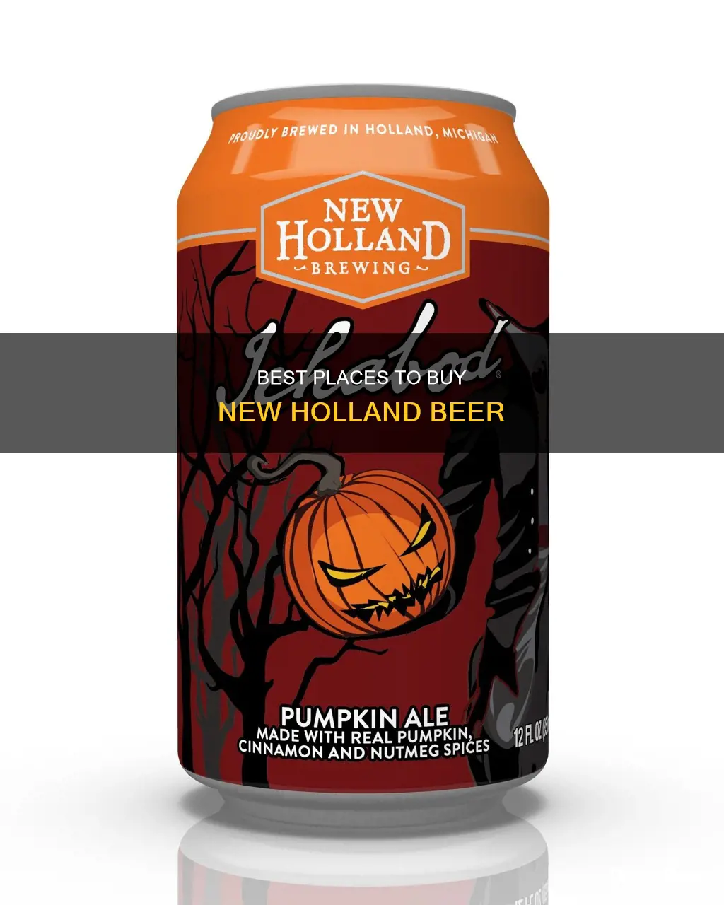 where can i buy new holland beer