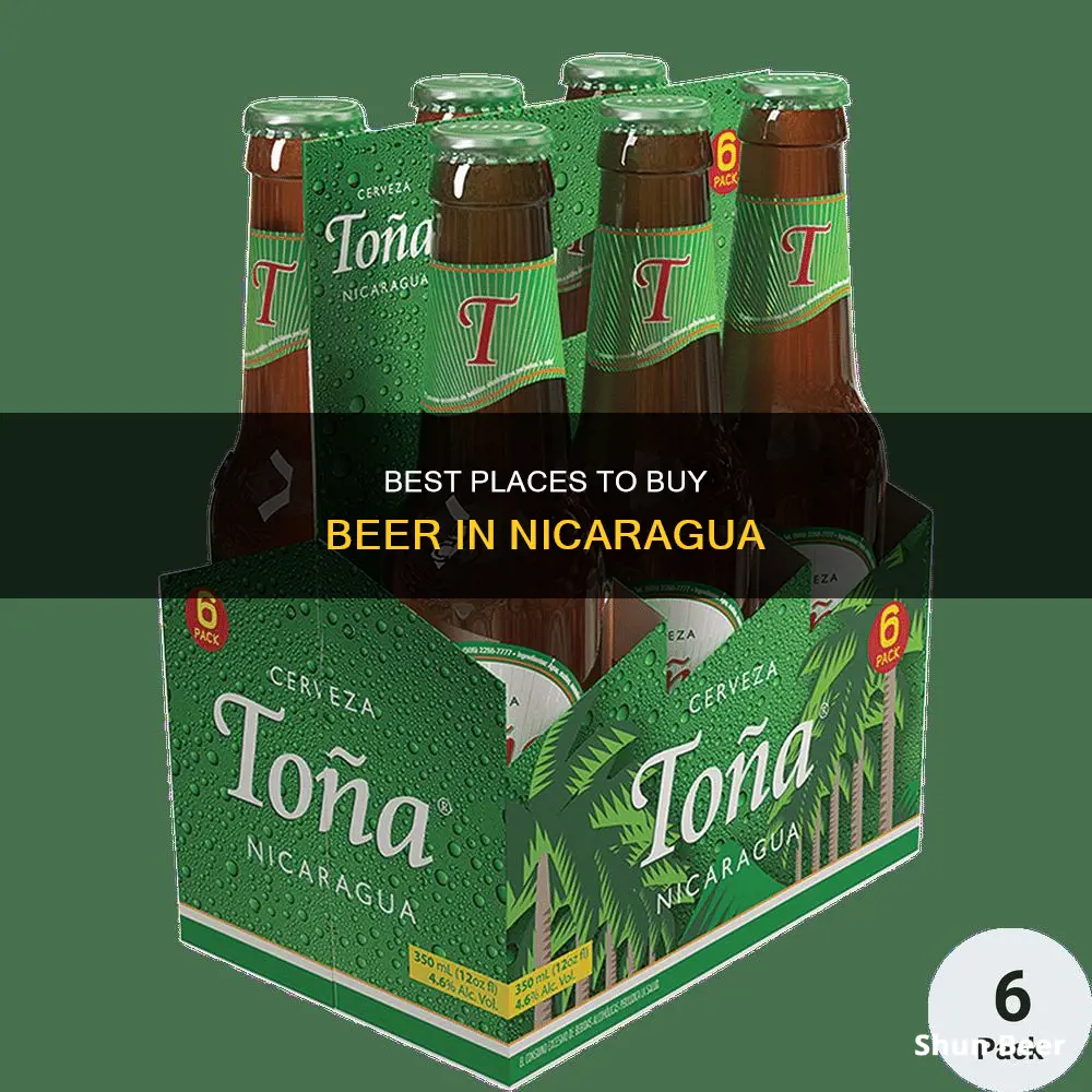 where can i buy nicaraguan beer