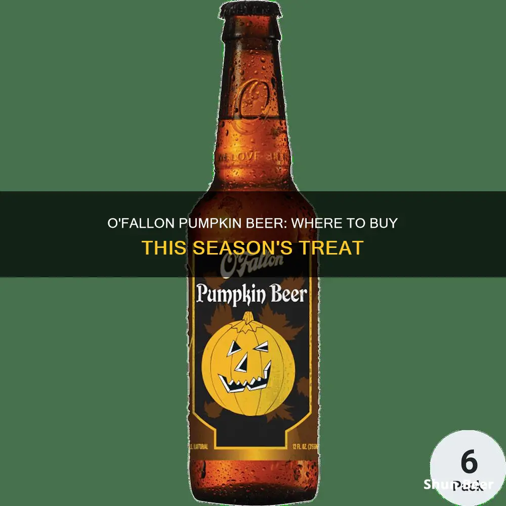 where can i buy o fallon pumpkin beer