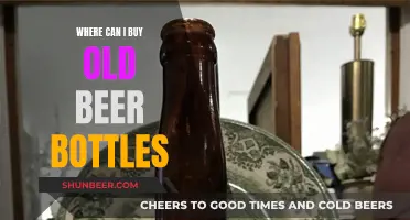 Vintage Beer Bottles: Where to Buy Them?