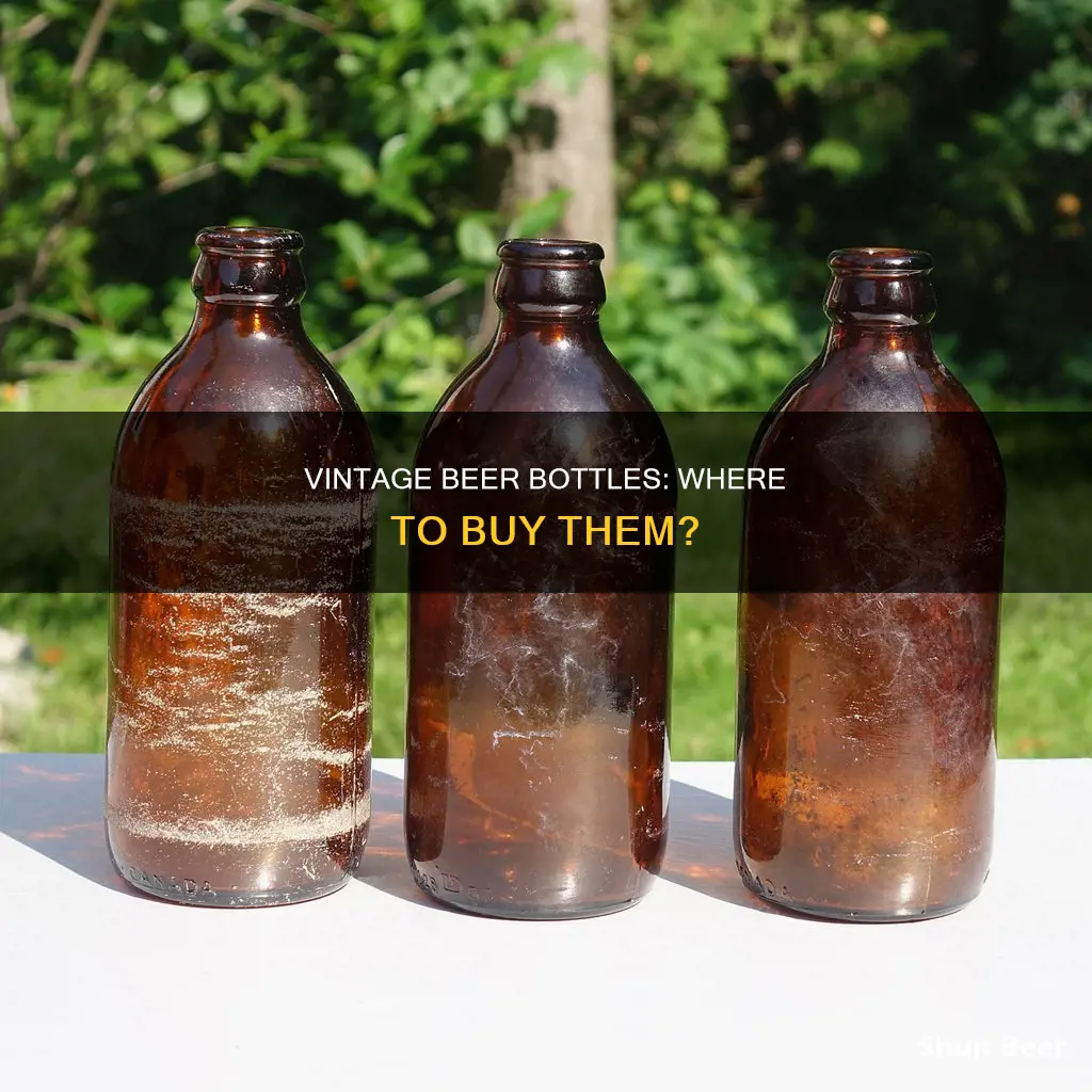 where can i buy old beer bottles