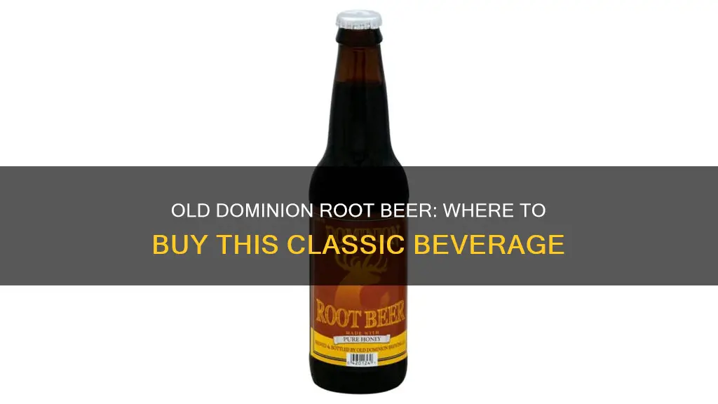 where can i buy old dominion root beer