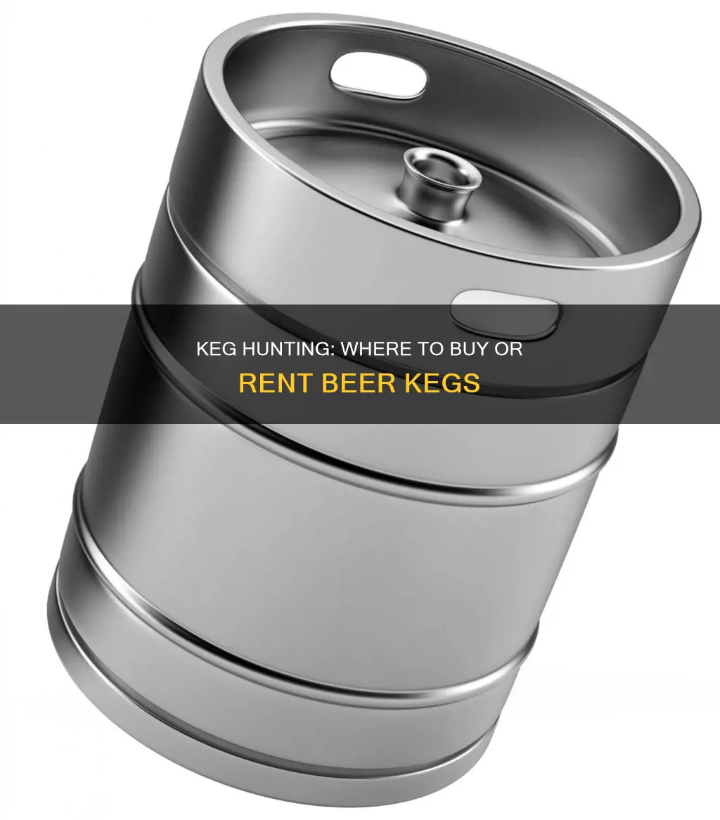 where can i buy or rent beer keg