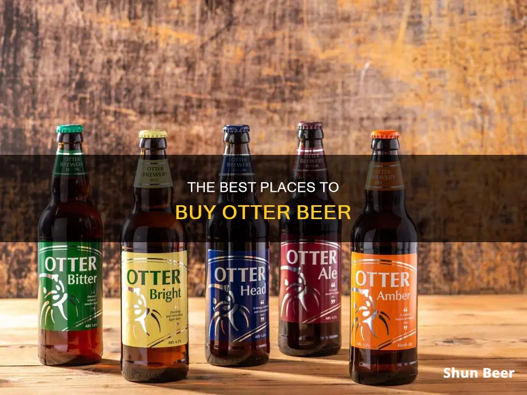 where can i buy otter beer