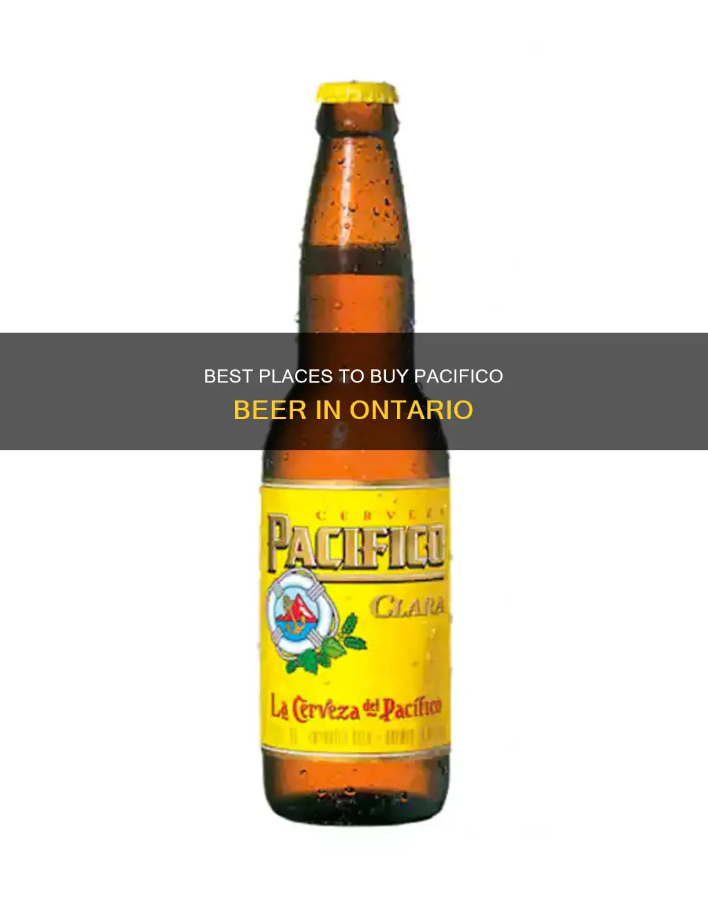 where can i buy pacifico beer in ontario