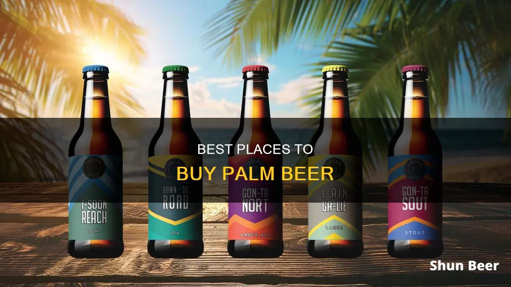 where can i buy palm beer