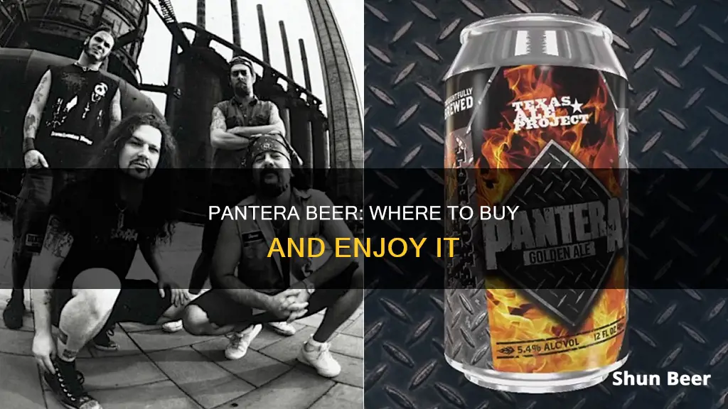 where can i buy pantera beer