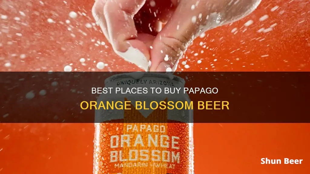 where can i buy papago orange blossom beer