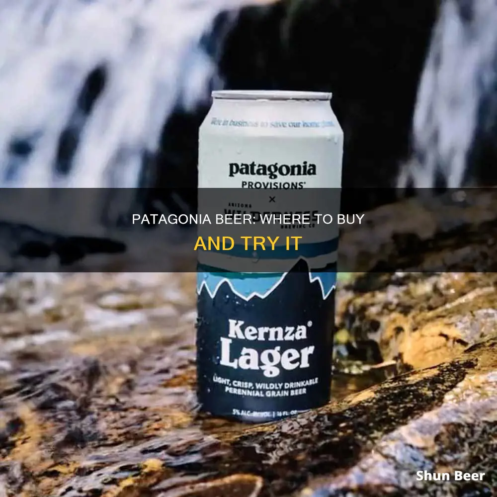 where can i buy patagonia beer