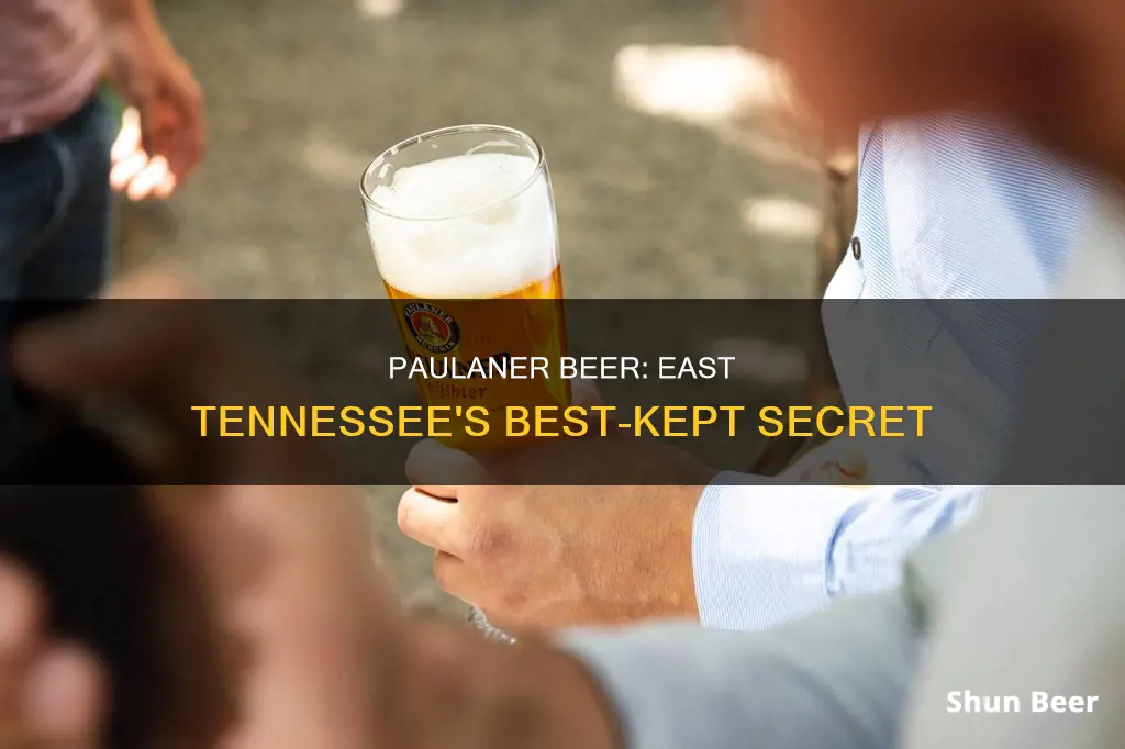 where can i buy paulaner beer in east tennessee