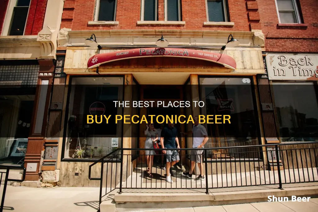 where can i buy pecatonica beer