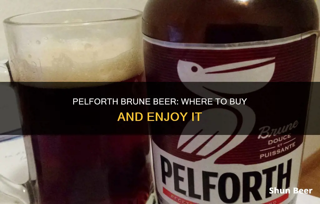 where can i buy pelforth brune beer