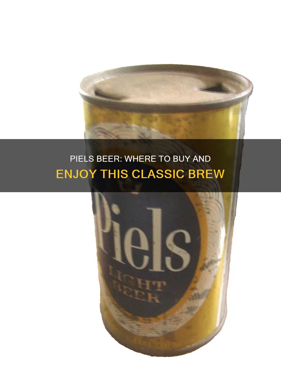 where can i buy piels beer