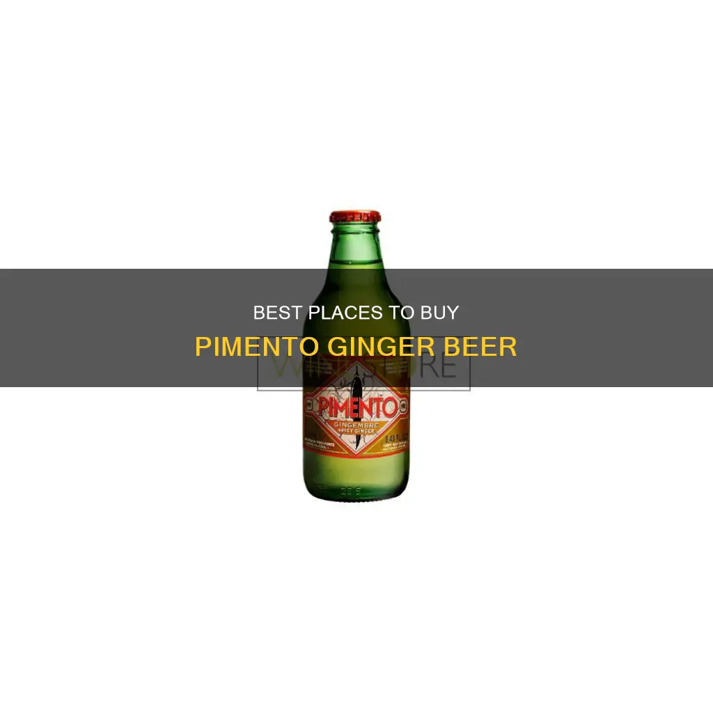 where can i buy pimento ginger beer