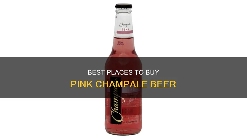 where can i buy pink champale beer