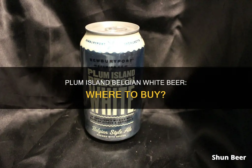 where can i buy plum island belgian white beer