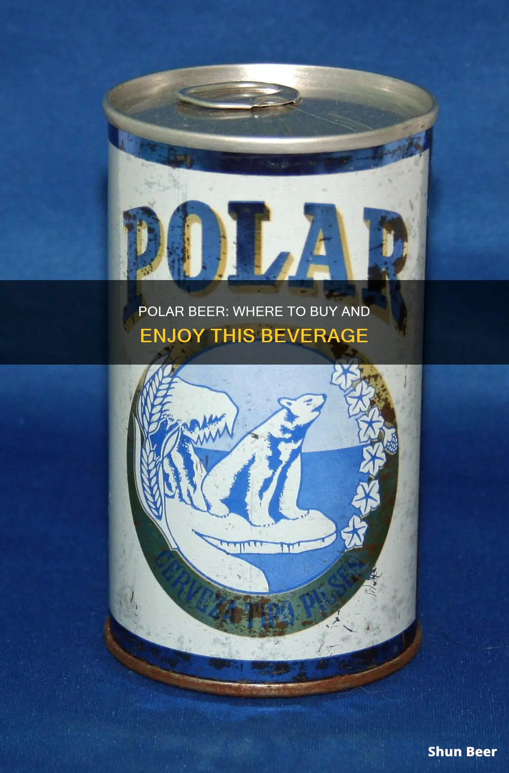 where can i buy polar beer