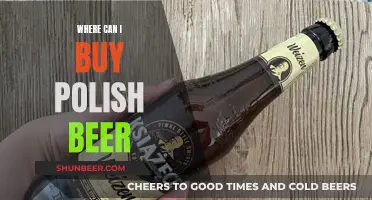 Polish Beer: Where to Buy the Best Brews