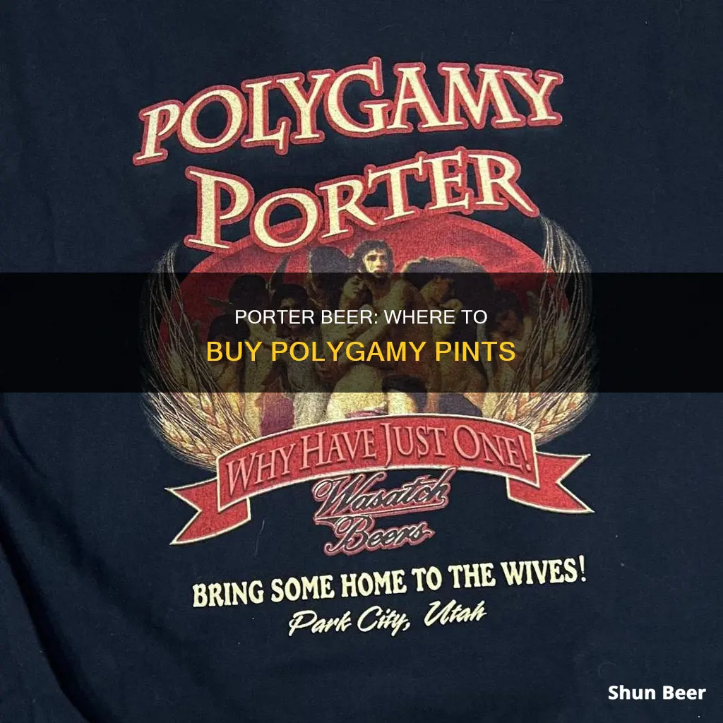 where can i buy polygamy porter beer