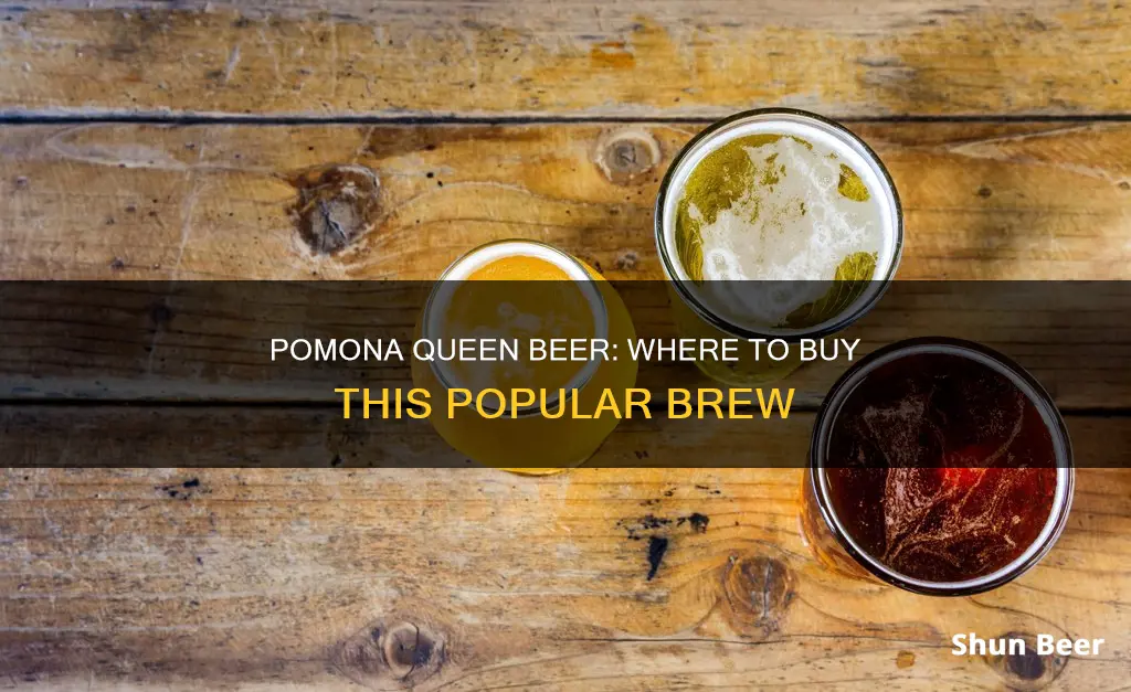 where can i buy pomona queen beer