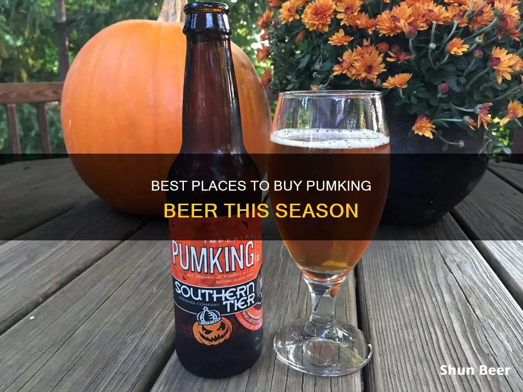 where can i buy pumking beer